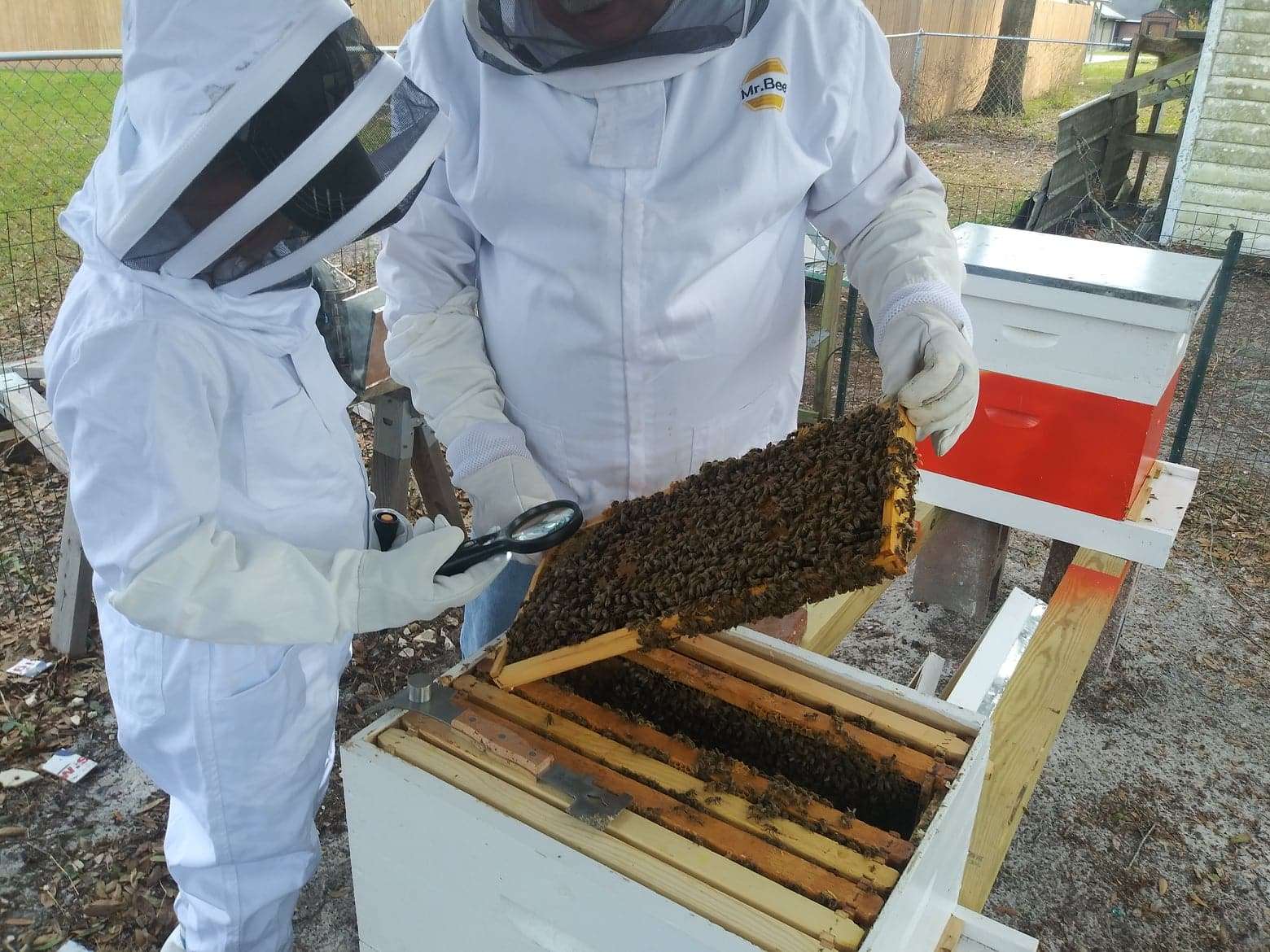 Sumter county beekeepers