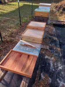 Assembled Eucalyptus Beehives